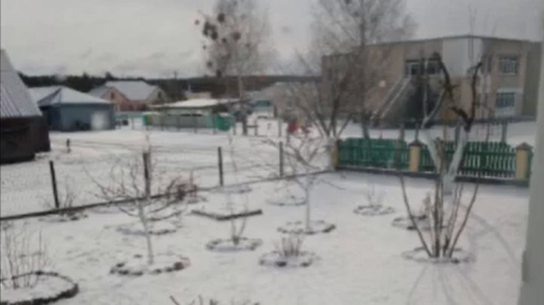 Зимний сон зима вернулась