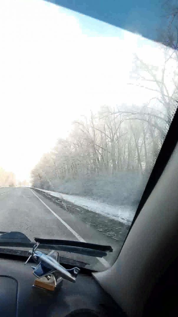 И у нас выпал первый снег - 2025...