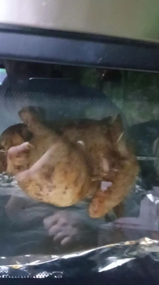 Курица гриль - #shorts