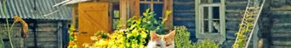 Деревенская Семья