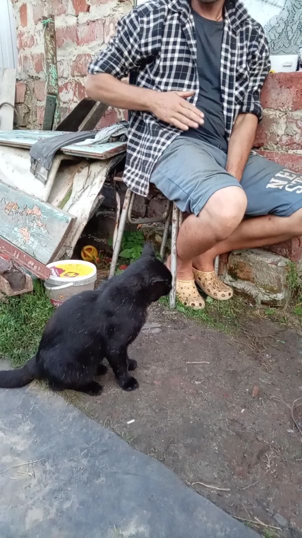 Наш Чучундрик. Сельская жизнь 1. - #shorts