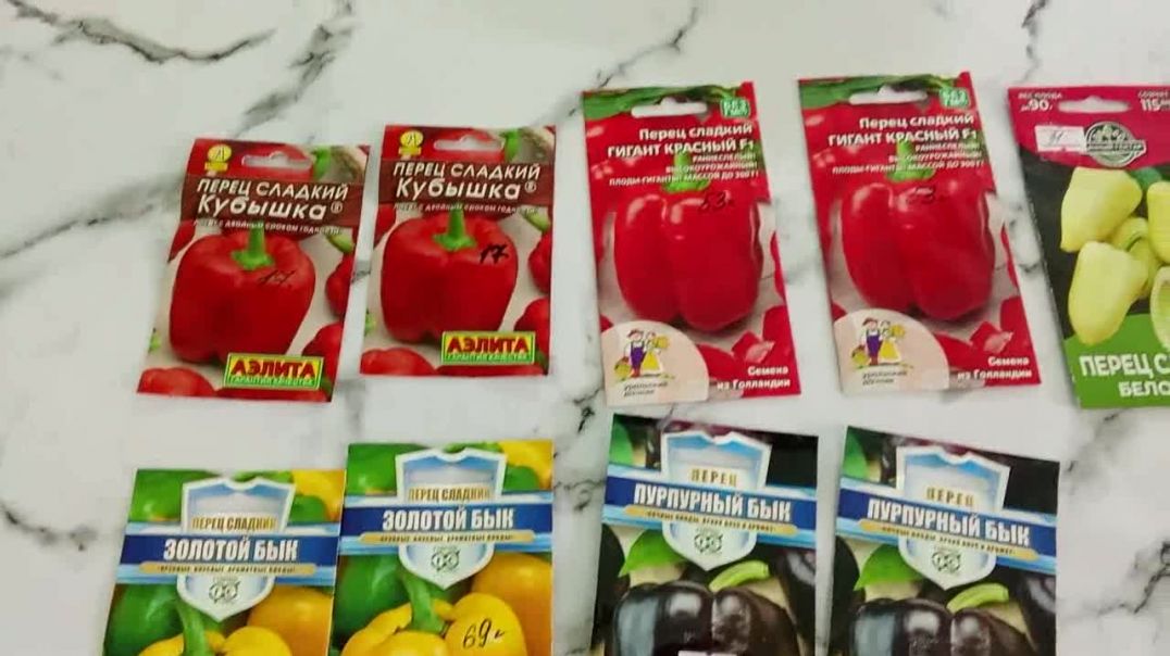 ⁣Обзор семян болгарского перца.