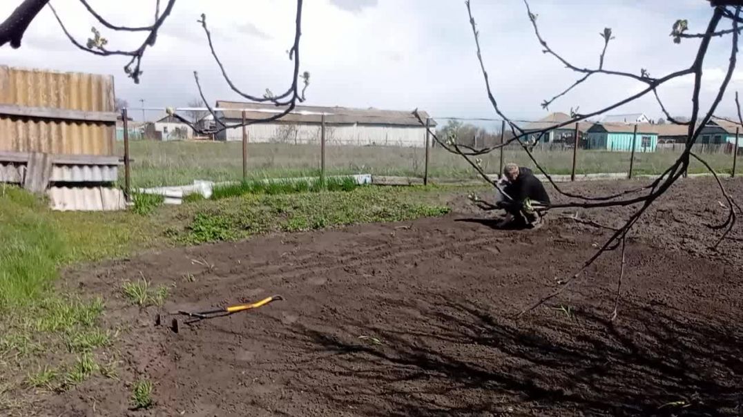 Посадка лука. Жизнь в селе.